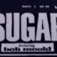 Video = Vancouver BC: Commodore Ballroom - May 19, 1993